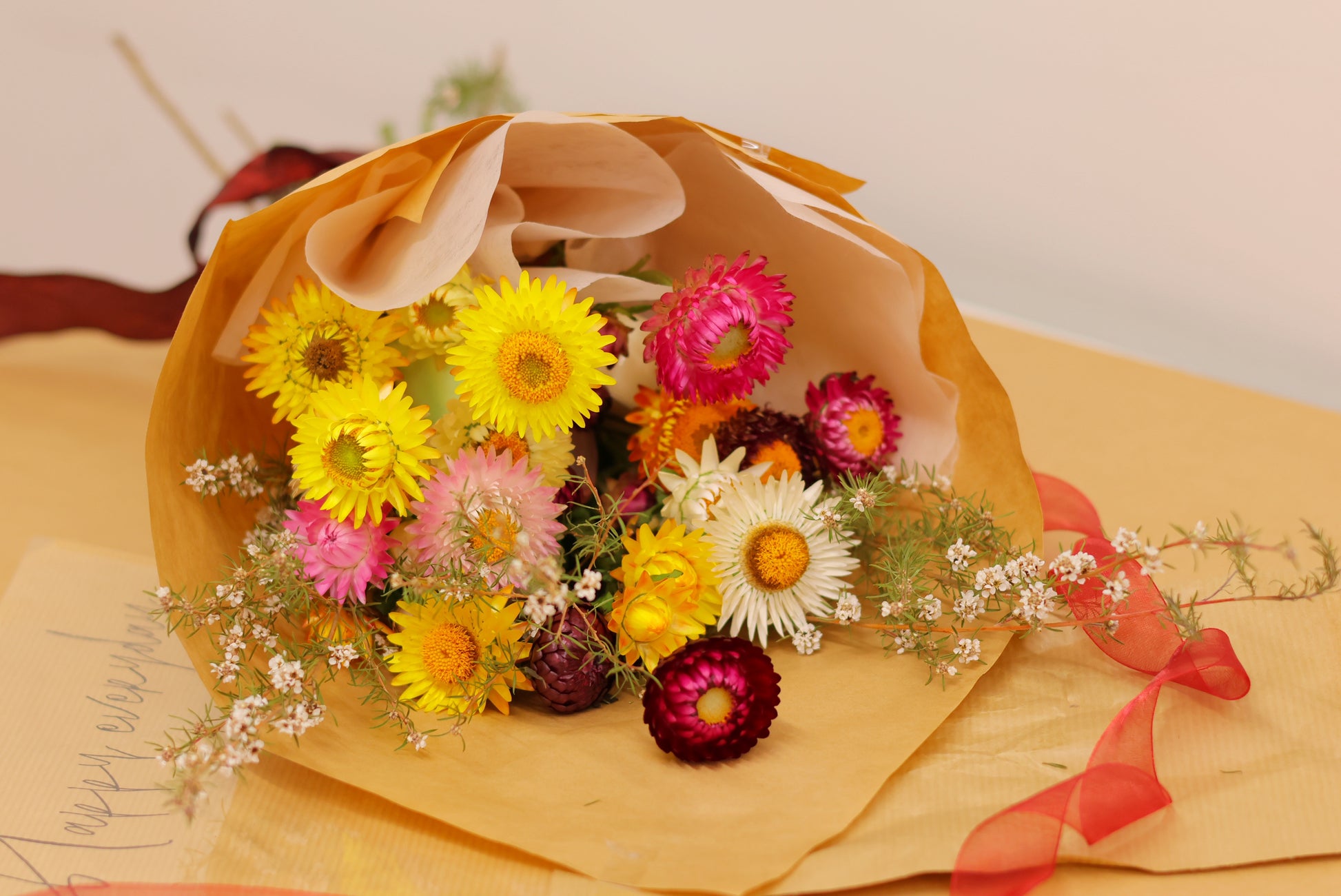 Everlasting daisies