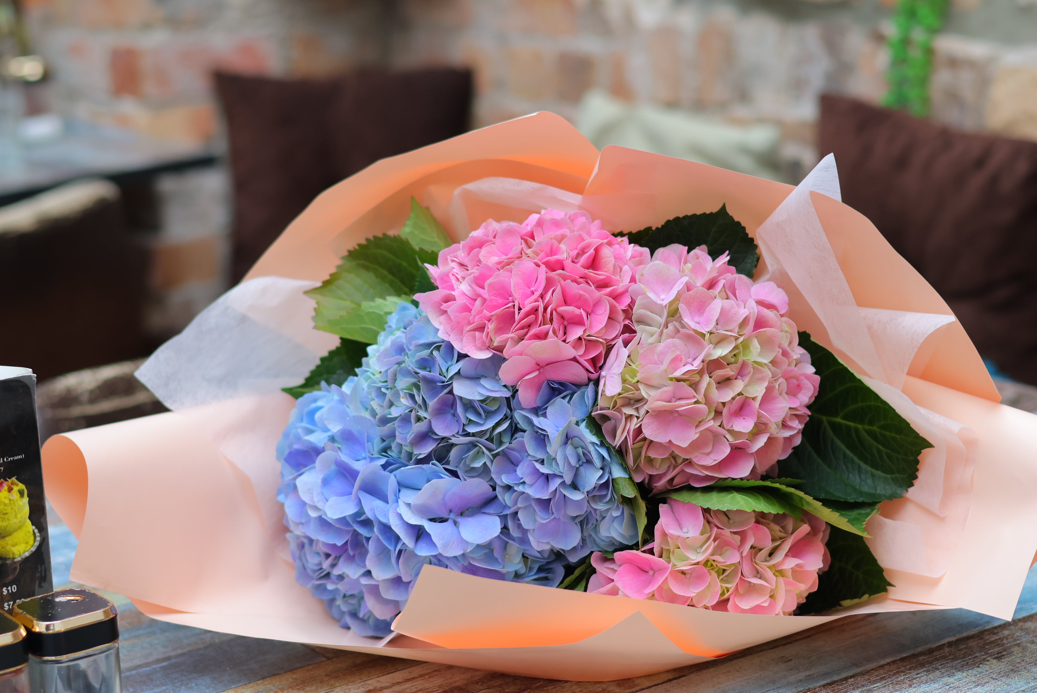 Timeless Hydrangeas